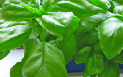 Hydroponics Growing System 12 Pods Review