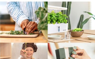 iDOO Hydroponics Growing System Review