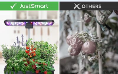 Litake Hydroponics Growing System Review