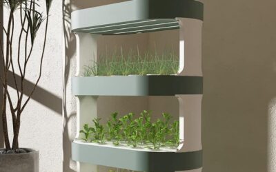 Lyfreen Hydroponics Growing System Review