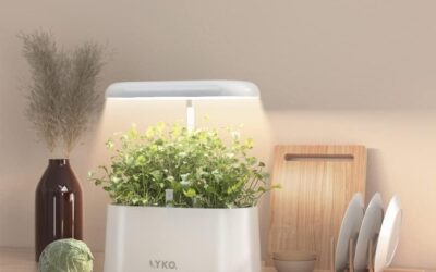 LYKO Hydroponics Growing System Review