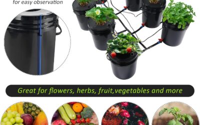 MAOPINER Hydroponic Bucket Kit Review