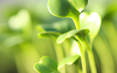 Microbe Life Hydroponics Terps Plus Fertilizer Enhancer Review