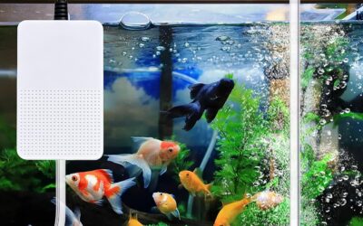 MingDak Quiet Aquarium Air Pump Review