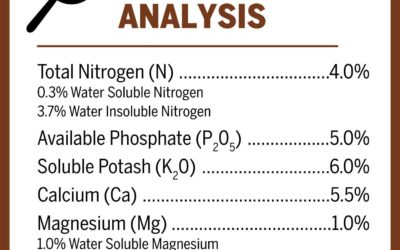 Mother Earth Tomato & Vegetable Mix Review