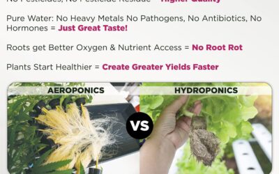 Nutraponics Hydroponic Systems Review
