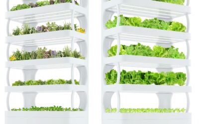 Nutraponics Hydroponics System Review