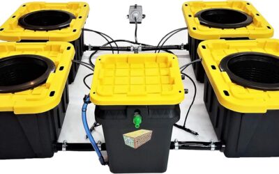 Root Box Hydroponics Grow 4 System Review