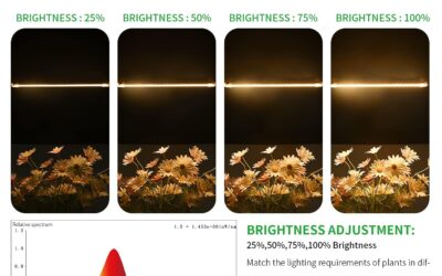 RWNTAO LED Plant Growing Lamp Review