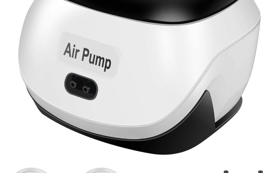 Simple Deluxe LGPUMPAIR3DUALV1 Commercial Air Pump Review