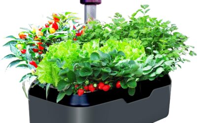 Soliseed Hydroponics Growing System Review