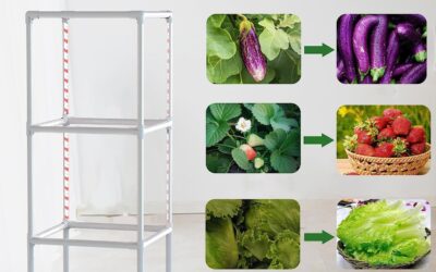 Tower Garden Hydroponics Review