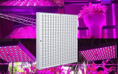 Venoya Grow Light Review