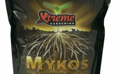 Xtreme Gardening 4401 Review