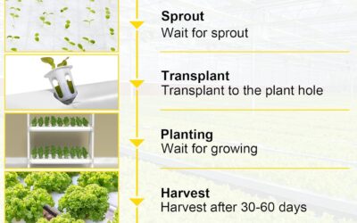 72 Sites PVC-U Pipes Hydroponics Kit Review