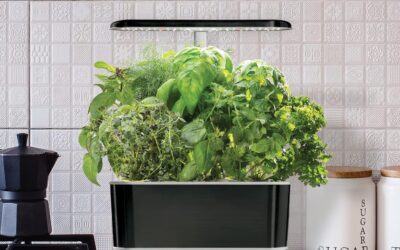AeroGarden Harvest Elite Indoor Garden Hydroponic System Review