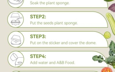 Assorted Fruit & Vegetables Seed Pod Kit Compatible with AeroGarden Review