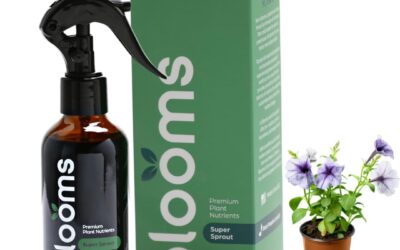 Blooms Super Sprout Review