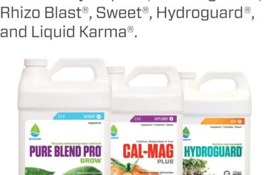 Botanicare Pure Blend Pro Grow Review