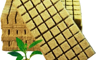 CastleGreens Rockwool Cubes 1 inch review