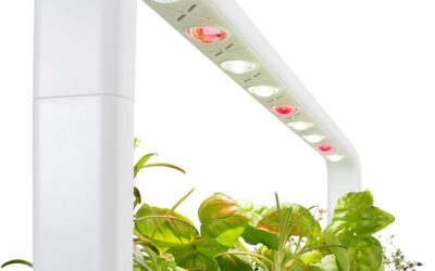 Click and Grow Smart Garden 9 PRO Review