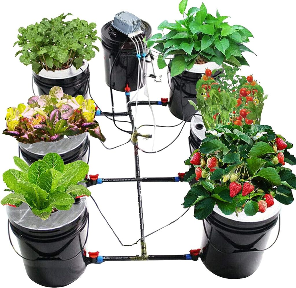 DNYSYSJ DWC Hydroponics Growing System, 5 Gallon 6 Buckets Hydroponics Growing System Recirculating Growing Kit with Water Exchange Bucket
