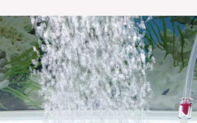 EKUEY 4″ Fish Tank Air Stone Review