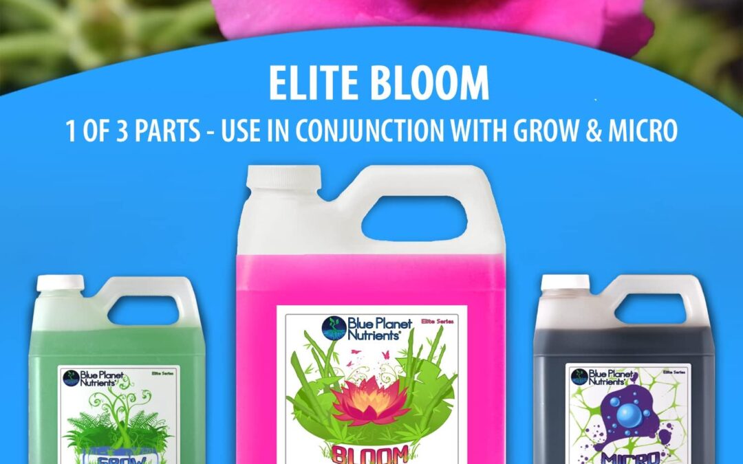 Elite Bloom Quart (32 oz) Review