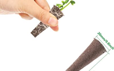 EVERECOO 100pcs Grow Sponges Review