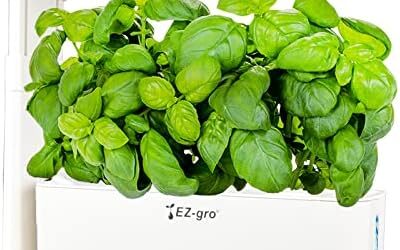 EZ-gro Liquid Plant Food Review