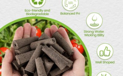 Feyut Seed Pods Kit Review