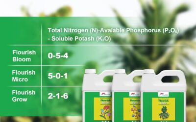 Flourish Bloom Grow Nutrients Review