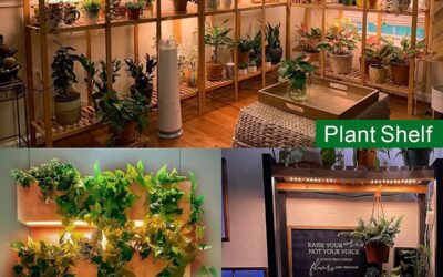 Full Spectrum LED Grow Light Review