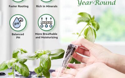 GardenCube Hydroponic Pods Kit Review