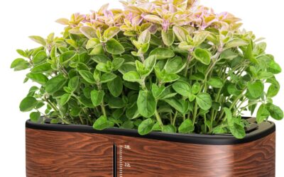 Hydroponics Growing System Indoor Garden Review