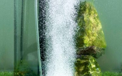 hygger Aquarium Air Stone Kit Review