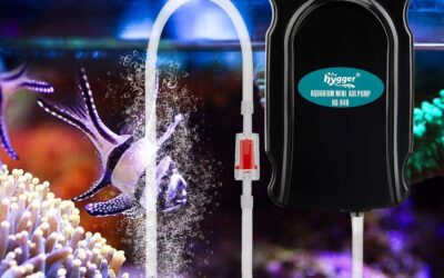 Hygger Mini Aquarium Air Pump Kit Review