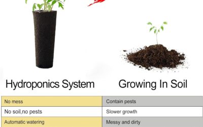 IDEER LIFE Hydroponics Growing System Review