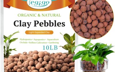 Legigo Clay Pebbles Review