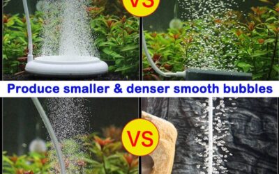 Nano Air Stone Kit Review