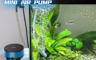 Oxygen Aerator Pump Bubbler Kit Review