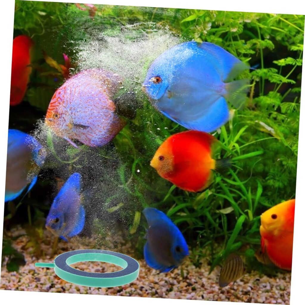 PATKAW 6 pcs Stone Hydroponics Hydroponic Pump Tank Aquarium Green Bubbles Small Pond Kit Fish Aquariums Bubble Disk Diffuser Bubbler Air Stones Practical Aerator for Supplies Disc Maker