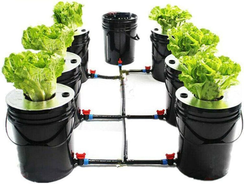 PIAOCAIYIN DWC Hydroponic System, Hydroponics Growing System, DWC 5 Gallon 6 Buckets Recirculating Growing Kit, w/Adjustable Large Air Volume Pump, Hydroponics Growing System Kit