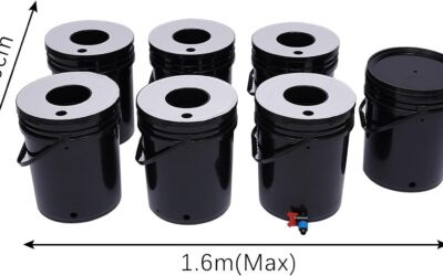 PIAOCAIYIN DWC Hydroponic System Review