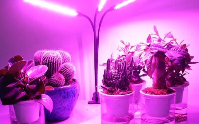 Protomont TECHNOLOGIES Plant Light Review