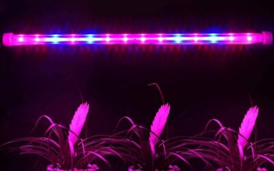 Roleadro Led Grow Light Strips Review