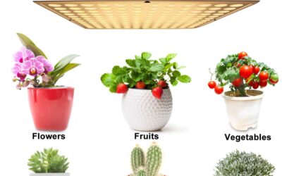 Shengsite LED Grow Light Review