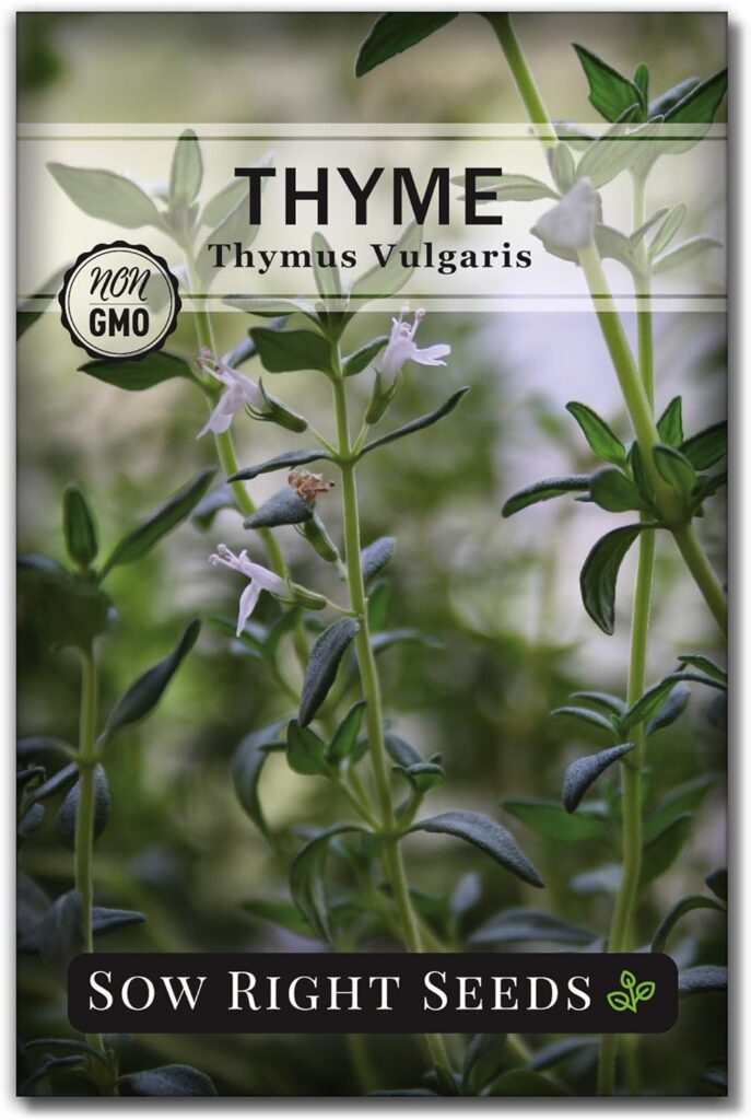 Sow Right Seeds - Hydroponic Herb Seeds for Planting - Basil, Thyme, Cilantro, Parsley,  Oregano Seeds for Planting and Growing a Hydroponic Garden Indoors - Perfect for Your Growing Tower or System