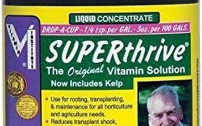 SuperThrive Advanced Nutrition Review