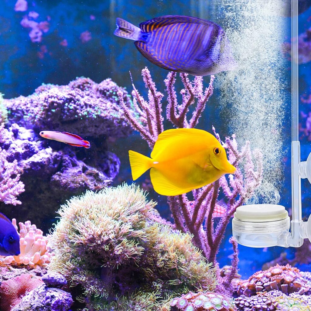 TIESOME Aquarium Air Stone Fish Tank Nano Bubble Stone Kit, with Control Valve Quiet and Suckers Super High Dissolved Oxygen Diffuser Makes Super Tiny Bubbles for Fish Tank and Hydroponic